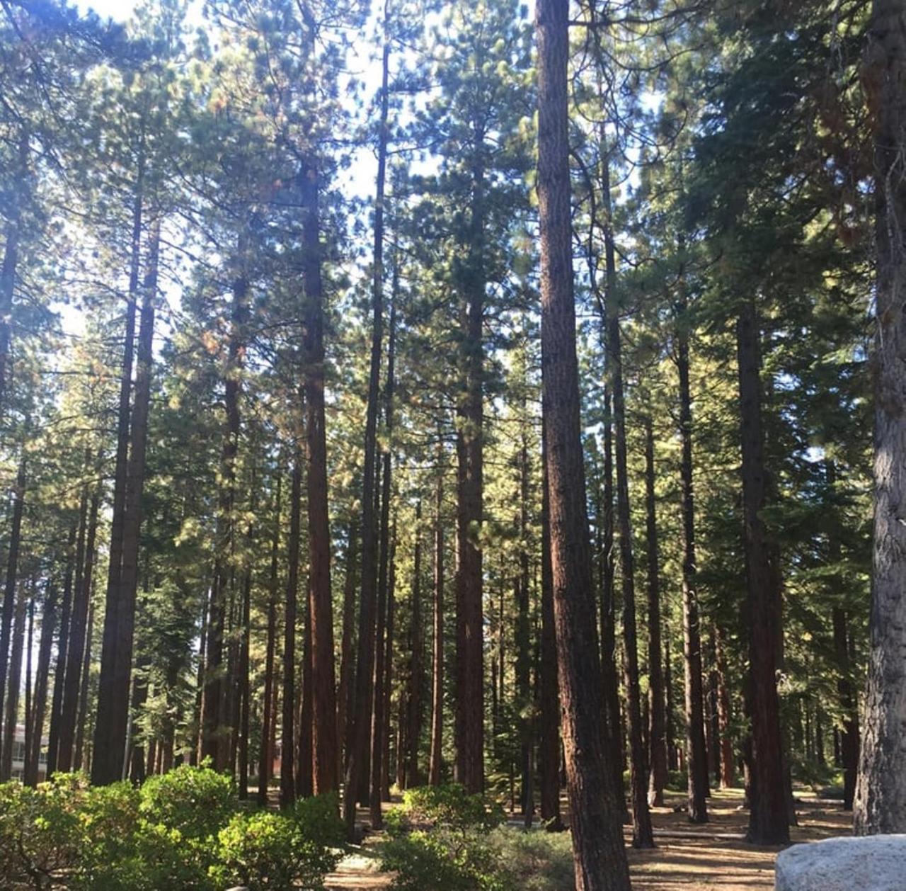 Club Tahoe Resort Incline Village