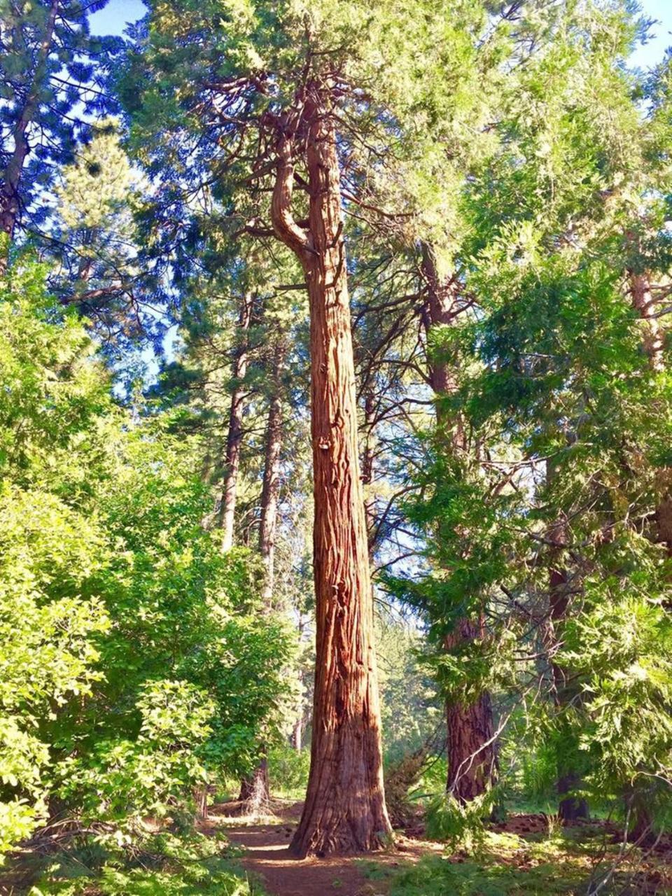 Resort Club Tahoe